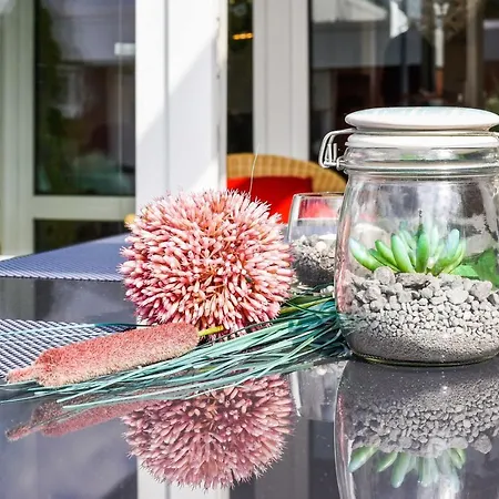 Inga * بينسيرسيال